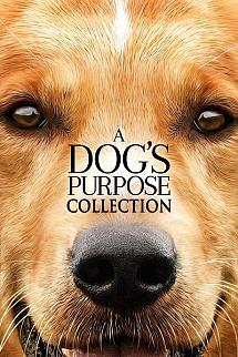A Dog's Purpose - A Dog's Purpose