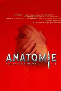 Anatomi - Anatomy