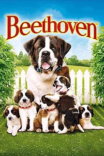 Beethoven - Beethoven