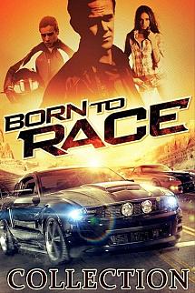 Yarışcı Doğanlar - Born To Race