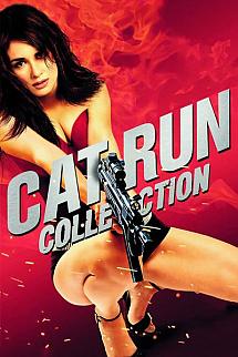 Cat Run - Cat Run