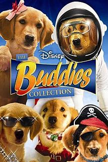 Süper Patiler - Disney Buddies