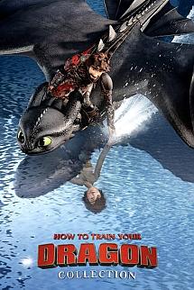 Ejdarhanı Nasıl Eğitirsin - How to Train Your Dragon