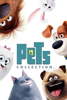 Evcil Hayvanların Gizli Yaşamı - The Secret Life of Pets