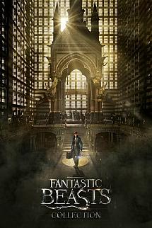 Fantastik Canavarlar - Fantastic Beasts