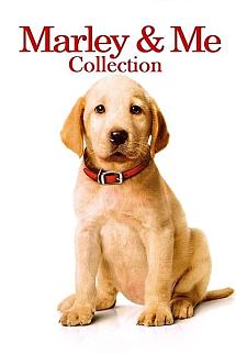 Marley & Me - Marley & Me
