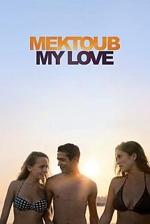 Mektoub is Mektoub - Mektoub is Mektoub