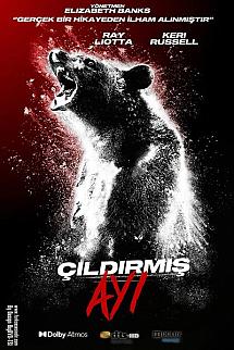 Çıldırmış Ayı izle