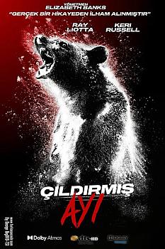 Çıldırmış Ayı