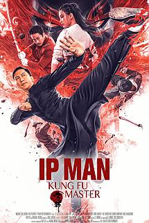 Ip Man: Kung Fu Ustası izle