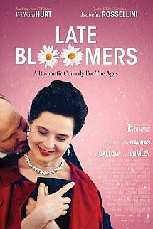 Aşkın İkinci Perdesi izle
