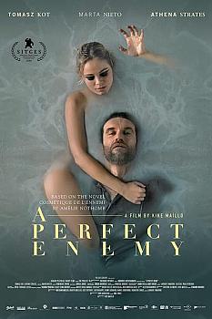 A Perfect Enemy