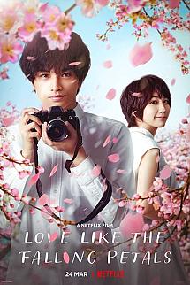 Aşkımın Sonbaharı izle