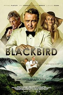 Blackbird izle