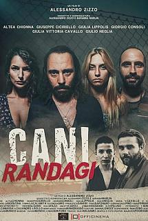 Cani randagi izle