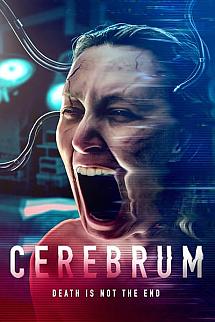 Cerebrum izle
