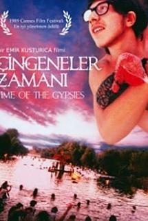 Çingeneler Zamanı izle