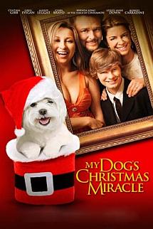 Köpeğimin Noel Mucizesi izle