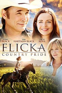 Flicka Rüzgar Gibi izle