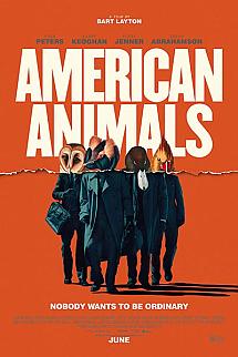 Amerikan Soygunu izle