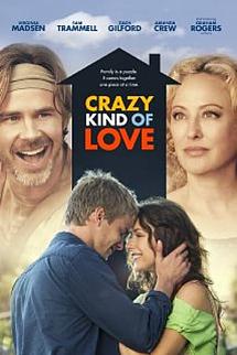Aşkın Çılgın Hali izle