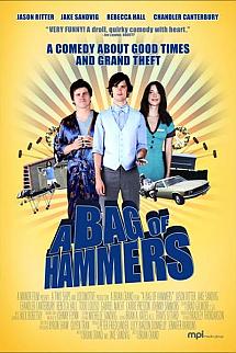 Bir Çanta Dolusu Şapşal izle