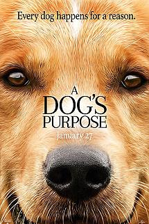 Can Dostum izle