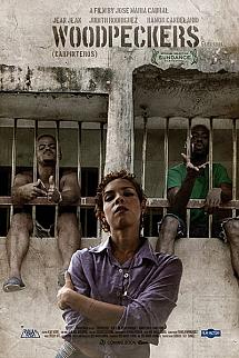 Carpinteros izle