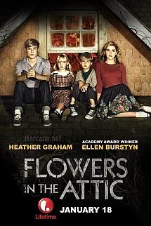 Çatıdaki Çiçekler izle