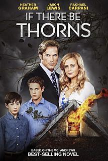 Çatıdaki Dikenler izle