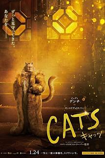Kediler izle