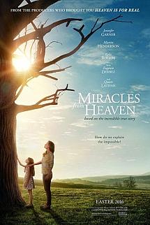 Cennetin Mucizeleri izle