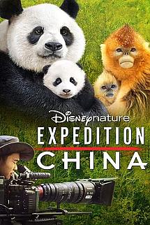Çin Seferi izle