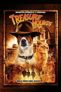 Define Avı izle