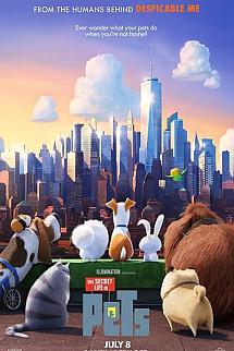 Evcil Hayvanların Gizli Yaşamı izle
