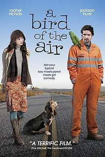 Gökte Bir Kuş izle