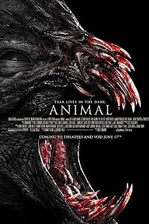 Hayvan izle