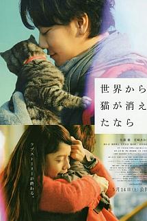 If Cats Disappeared from the World izle