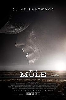Kaçakçı izle