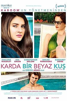 Karda Bir Beyaz Kuş