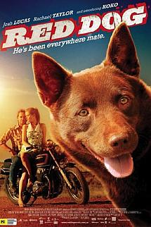 Kırmızı Köpek izle