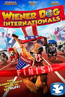 Köpekler Yarışıyor izle