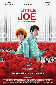 Küçük Joe
