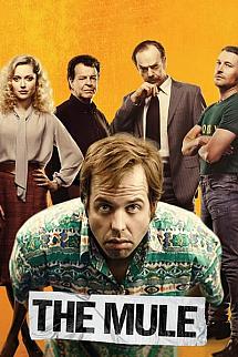 Kurye izle
