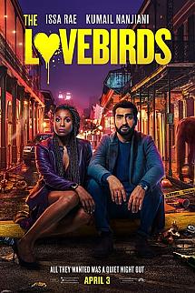 Muhabbet Kuşları izle