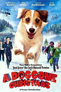 Muhteşem Köpek izle