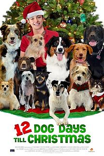 Noel' in 12 Köpeği izle