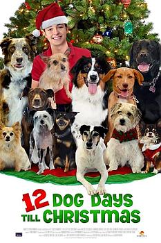 Noel' in 12 Köpeği