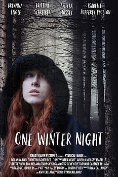One Winter Night