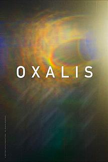Oxalis izle